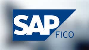 sap fiche financial and controlling