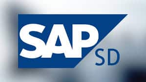 sap sd sales and distribution