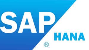 SAP HANA High-Performance Analytic Appliance