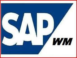 SAP Warehouse Management