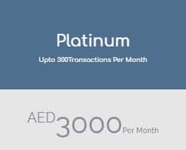 accounting platinum